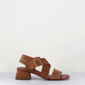 Sandales en daim marron à brides croisées - QUI-ISRAEL44 ZEUS CASTANO