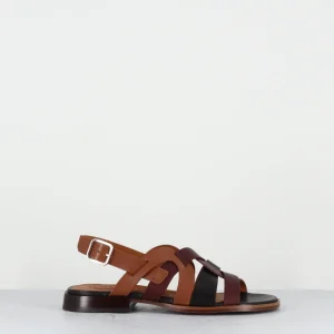 Sandales plates multi-brides cuir camel marron noir - WALAI PITBUL TERRA