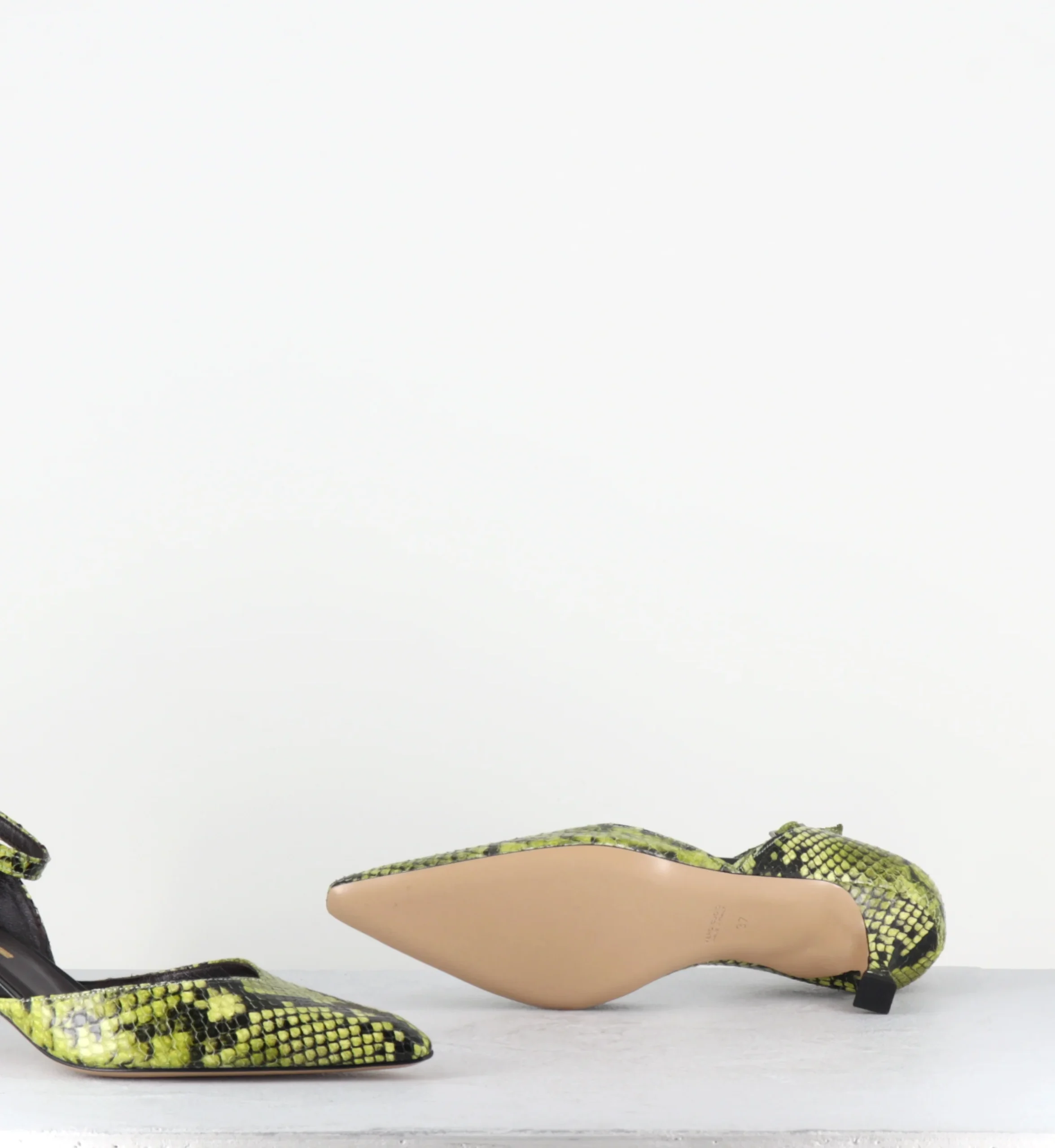 DELLO PITONE GIALLO – Image 7