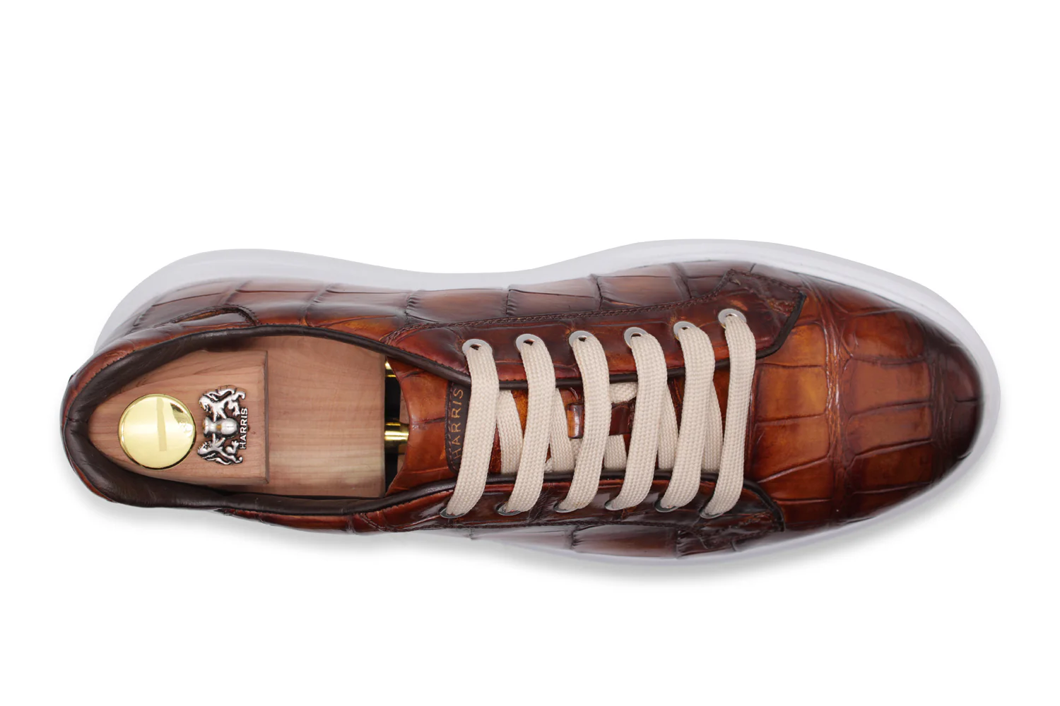 Baskets Crocodrillo – Image 3