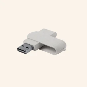 Clé usb 16Go Lisa