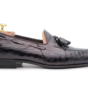 Crocodile moccadrillo